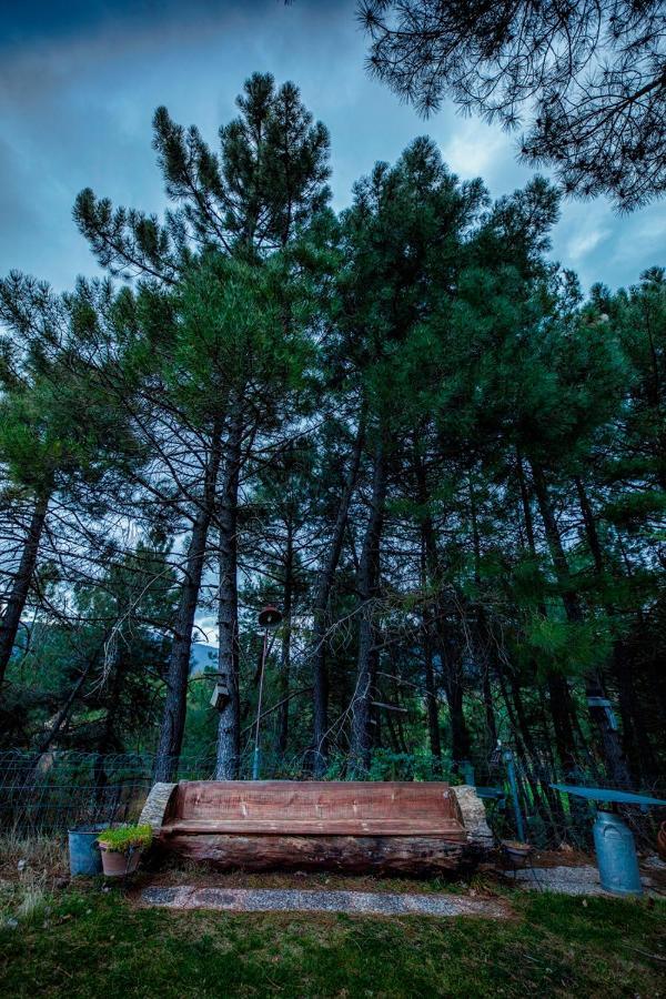 Royo Guarde, Junto Al Rio Mundo Bed & Breakfast Riópar Екстериор снимка